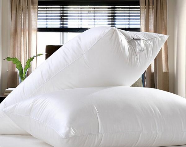 Customized Feather Comforters in Tongcheng Development Zone