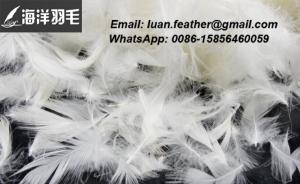 Title: Baodi Feather Duvet Recycling: A Green and Cost-Effective Option