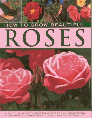 Title: The Enchanting Rose Down Quilt: A Masterpiece of Comfort and Beauty