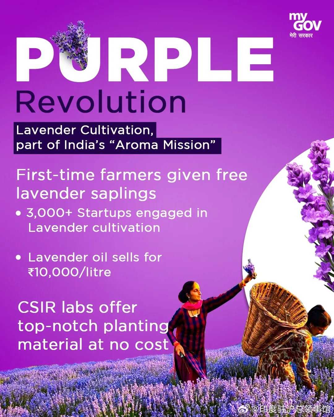Title: Discover the Wonders of Purple Cube Sleeping Quilts: A Masterpiece of Chinese Invention
