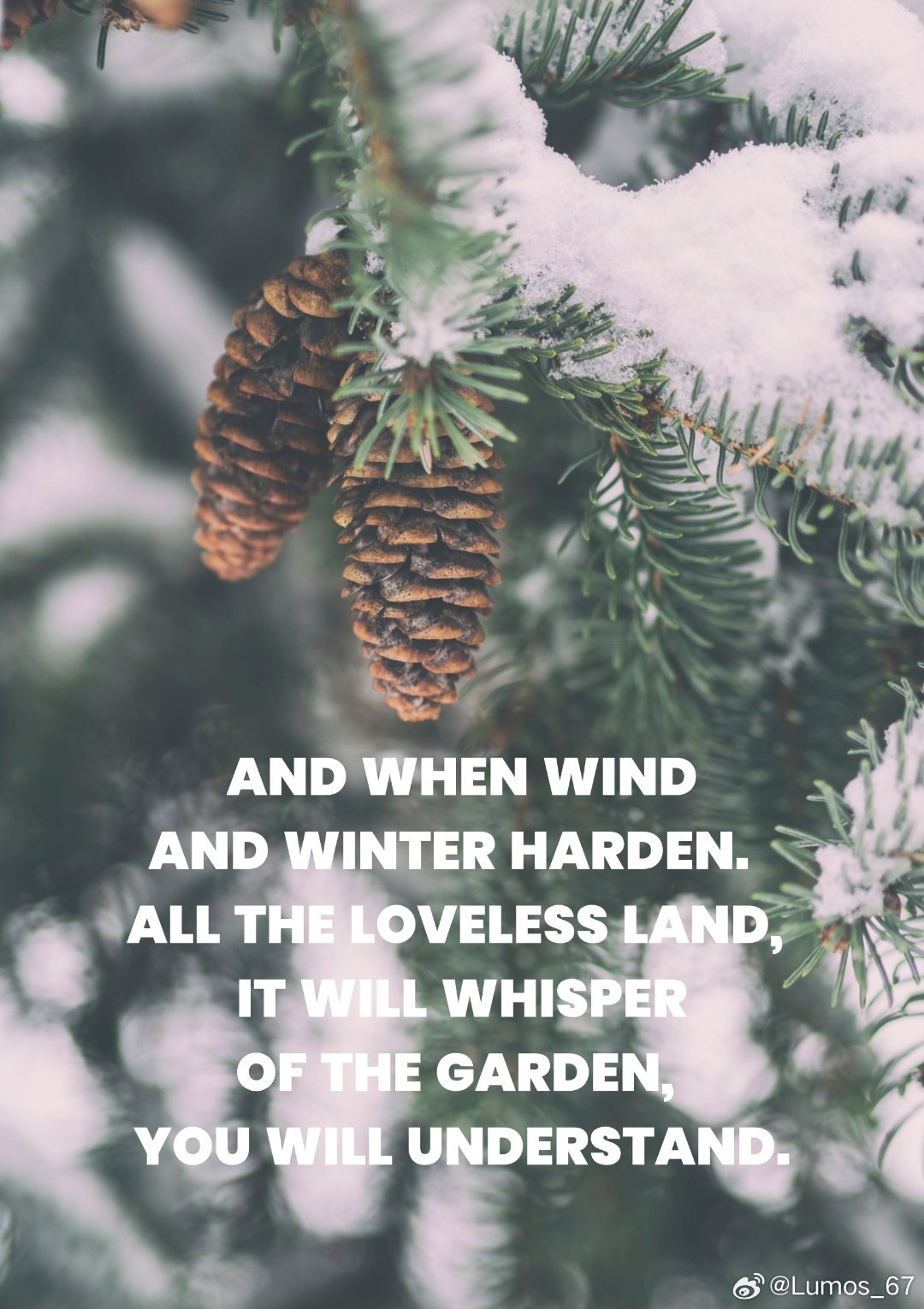 Title: Winter is Still the Season for Down Comforters: Why We Continue to Embrace Them