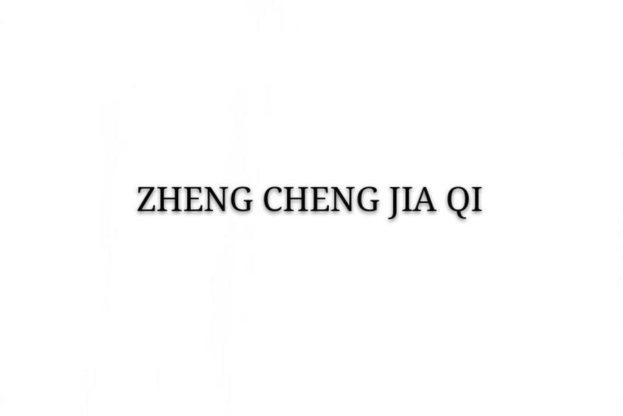 Title: The Legend of the Zheng Yuong Bei