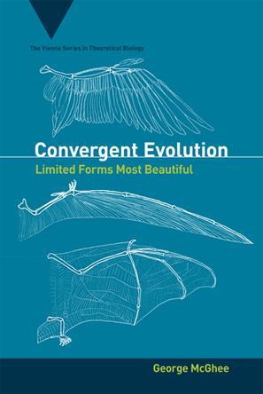 Title: The Evolution and Importance of Down Comforters