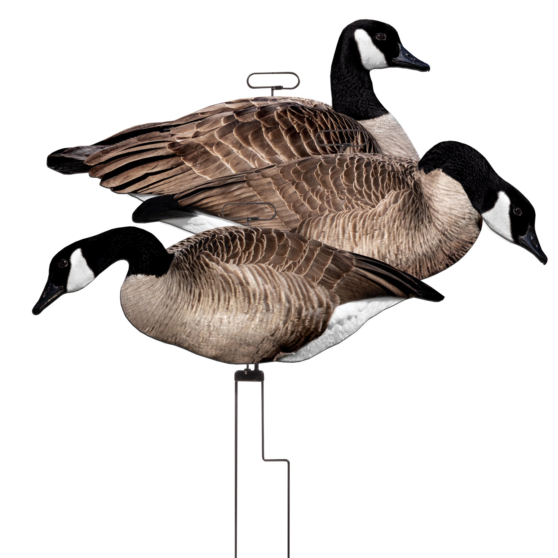 Goose Feather Quilt Transportation