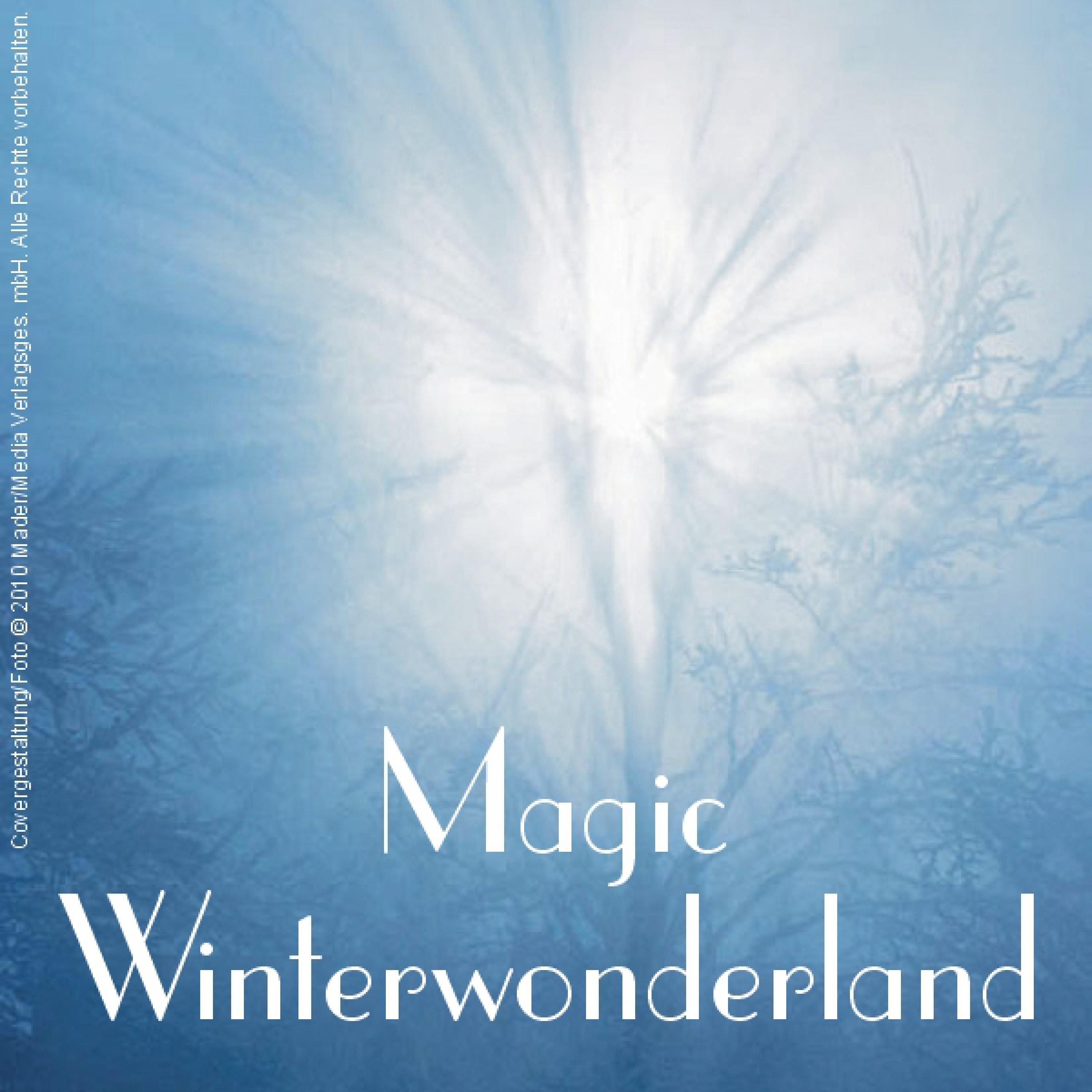 Title: The Magic of Winter: Embracing the Warmth of Lingdong Down Blankets