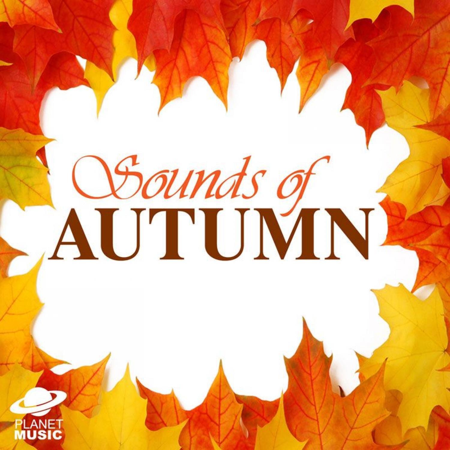 Autumn Feather Quilt: A Warm and Comforting Companion