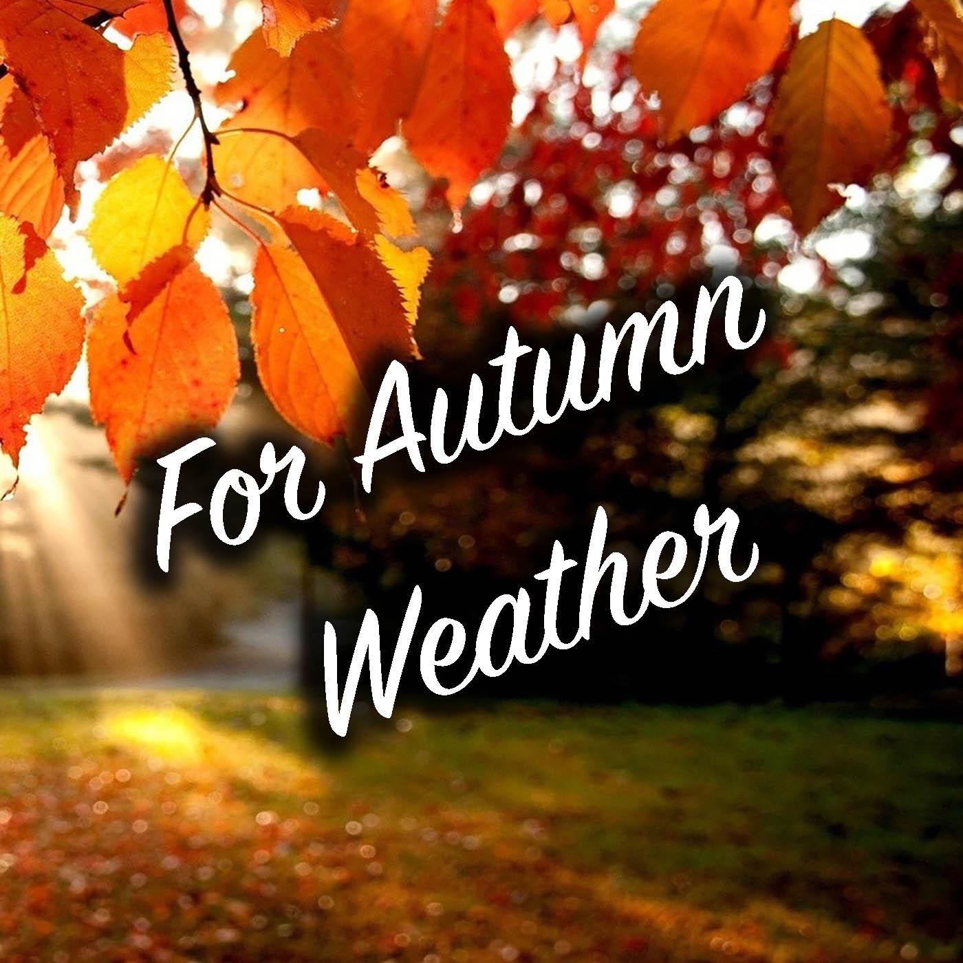 Autumn Feather Quilt: A Warm and Comforting Companion