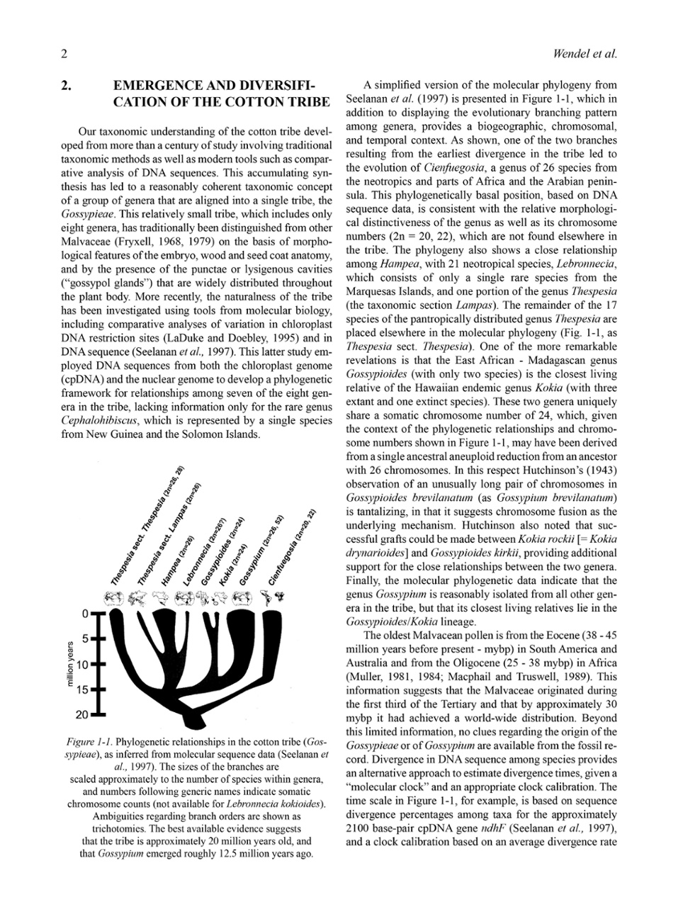 Title: The Comparative Analysis of Down and Cotton Quilts