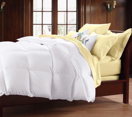 Iceberg Down Comforter: A Review