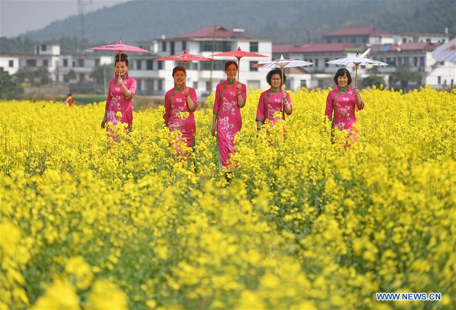Title: Exploring the Beauty and Comfort of Jiangxi Down Blankets