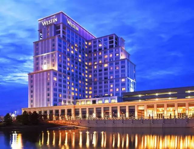 Luxury5-Star Hotel down Comforter: The Epitome of Serenity and Comfort
