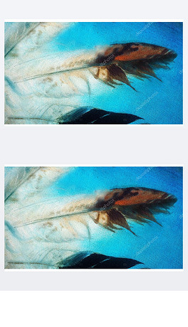 Feather Duvets Moisture Absorption Property