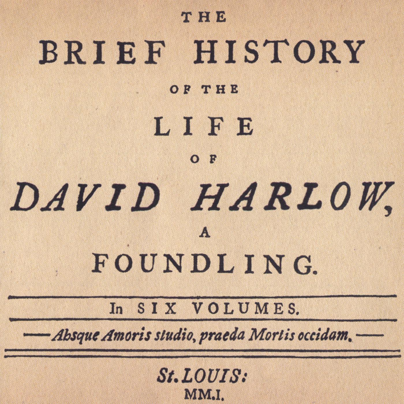 Title: The Evolution of duvets and feather quilts: A Brief History