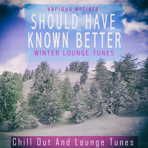 Title: The Weight of Down Comforters in Winter: Everything You Need to Know