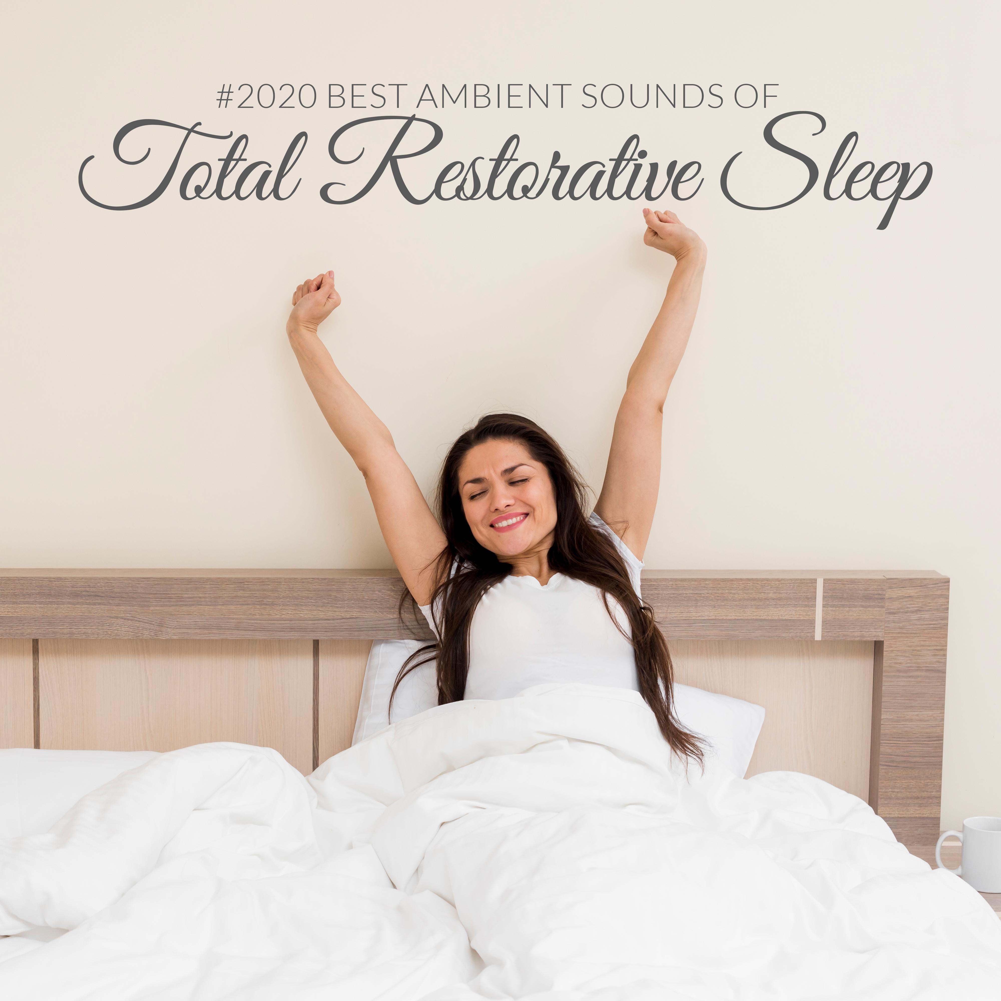 Title: Revitalizing Sleep with YASANA Down Comforter: A Review