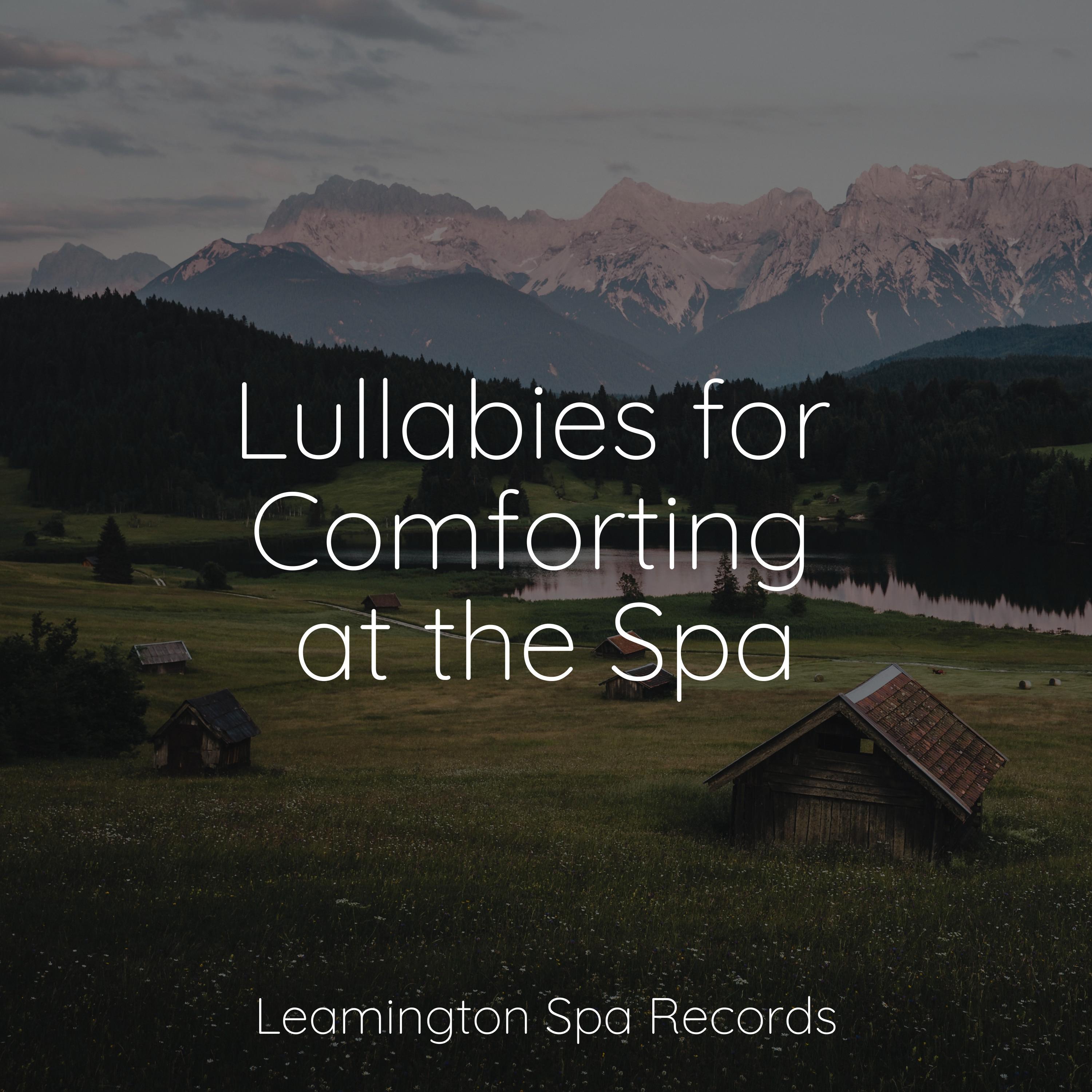 Lulins Down Comforter: A Review