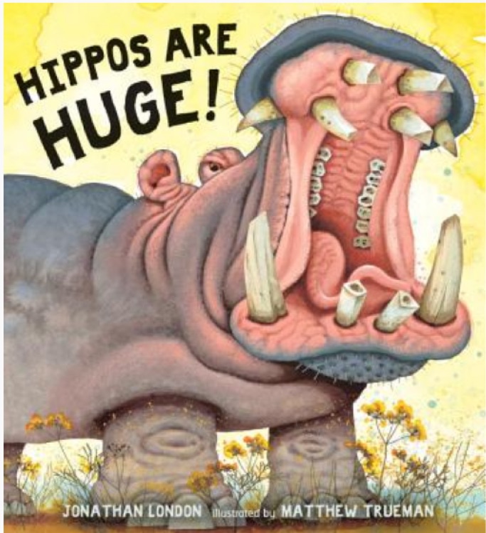 The Allure of the Hippo Down Comforter