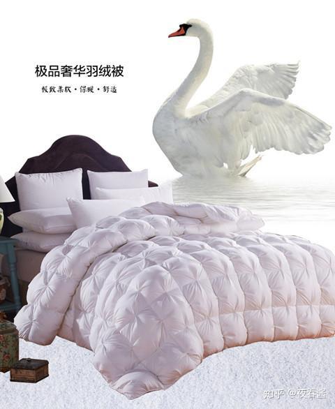 Chicken羽翼羽绒被——温暖你的梦境