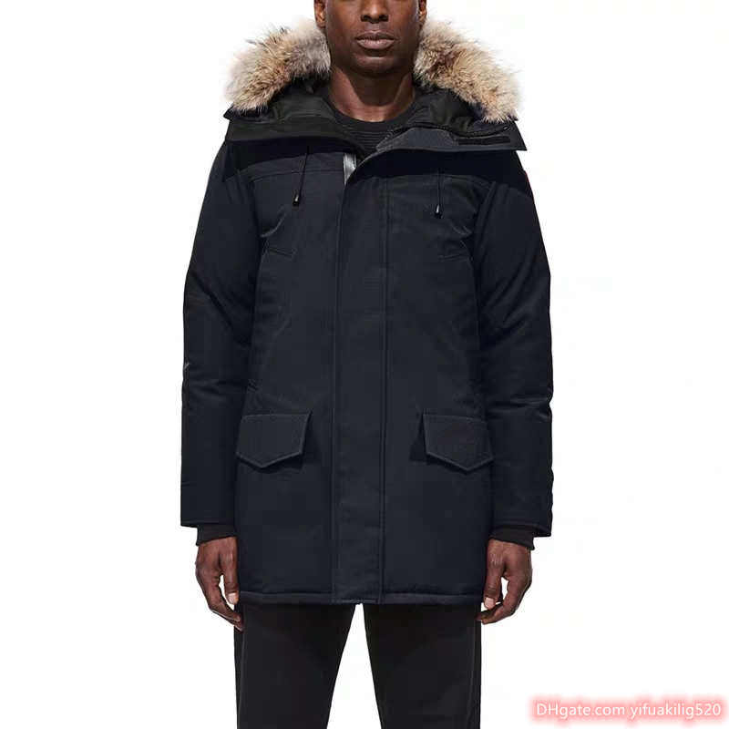 Title: Sale on Feathered Coats and Down Quilts: Unleash Your Warmth this Winter
