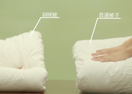 羽绒被术语