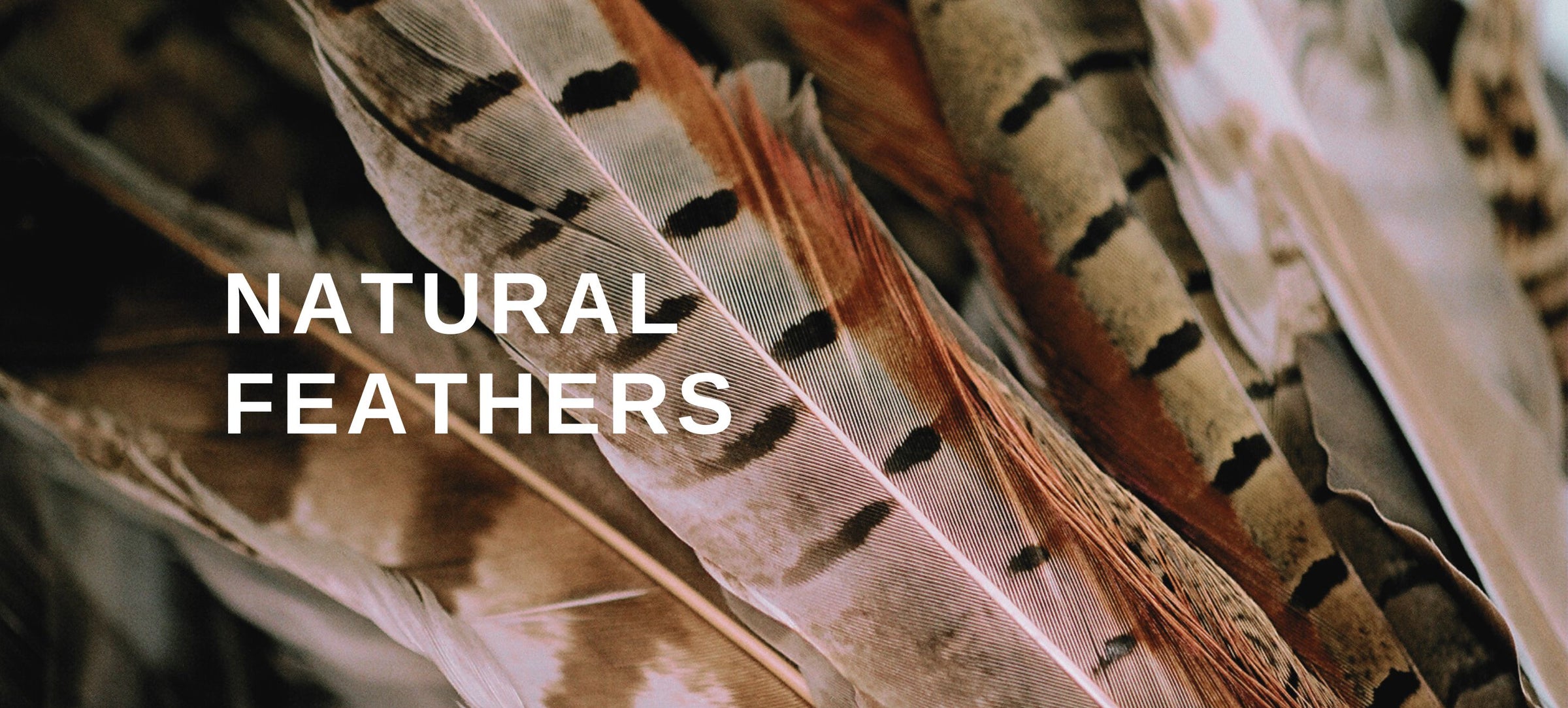 Feather Duvet Wallpaper