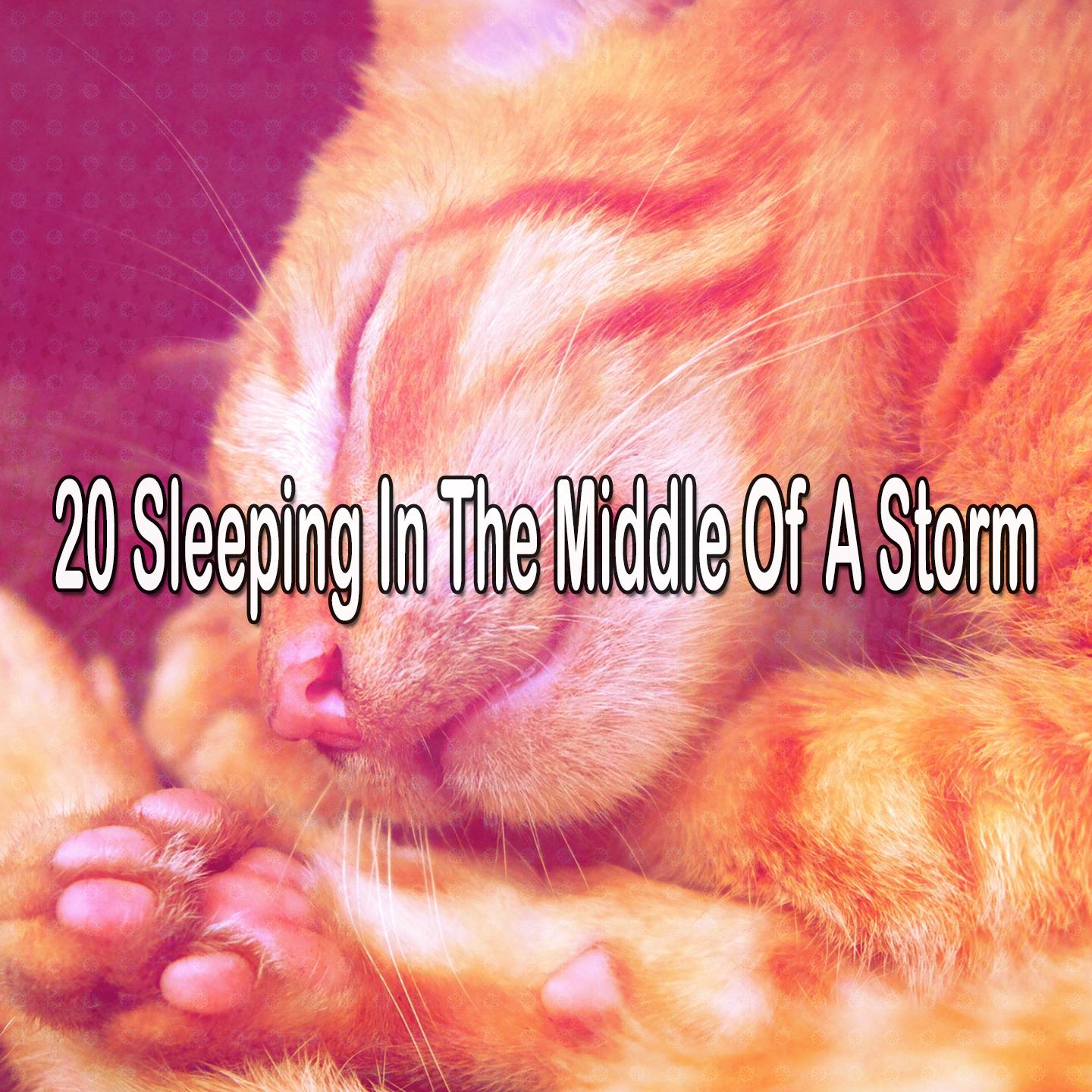 Title: TheLazyCat Down Comforter: A Sleek and Stylish Solution to Your Sleeping needs