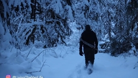 Cuddledown: The Ultimate Winter Bed Cover