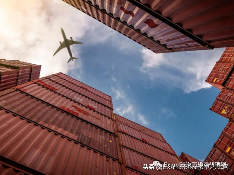 Cross-border E-commerce of Down Comforters: Opportunities and Challenges