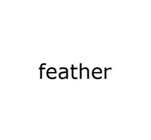 Feather Duvet in a Humid Climate