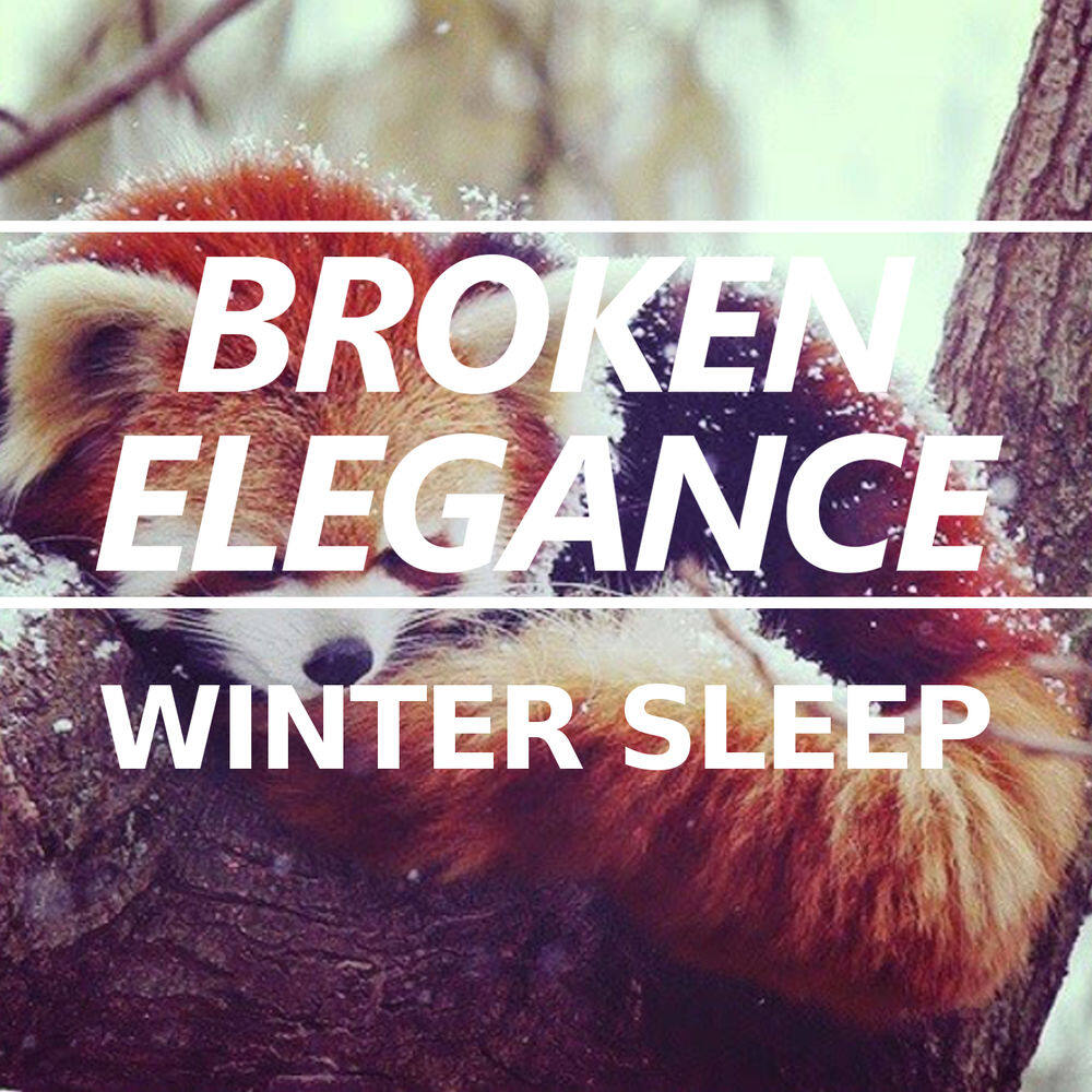 The Best Down Comforters for Your Winter Sleep