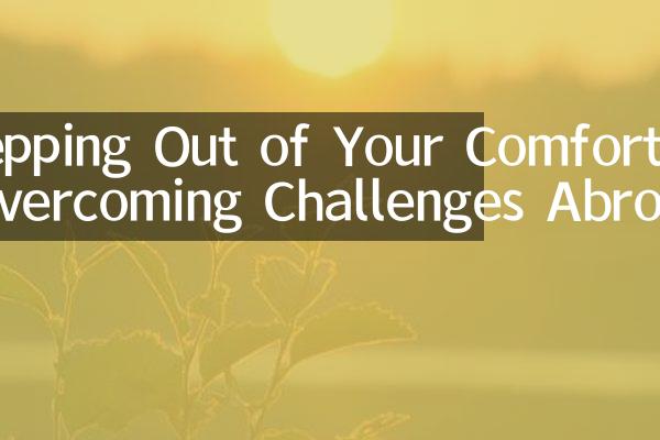 How to Choose the Right Down Comforter: A Comprehensive Guide
