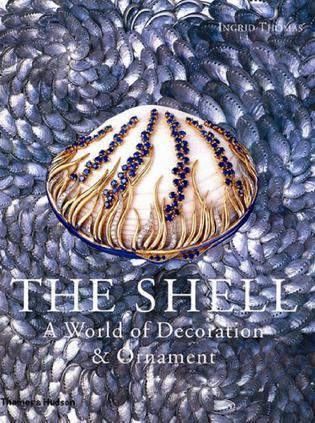 Title: The Enchanting World of Shell-Covered Down Comforters