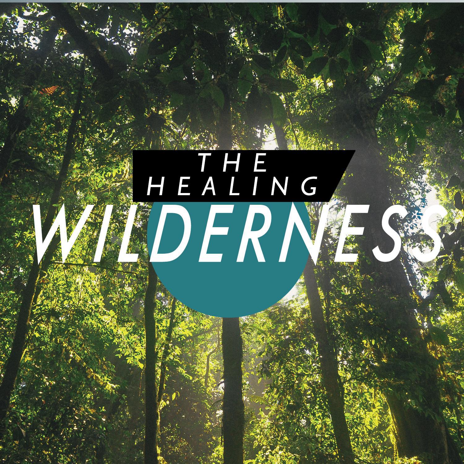 Feathered Comforters for Wilderness