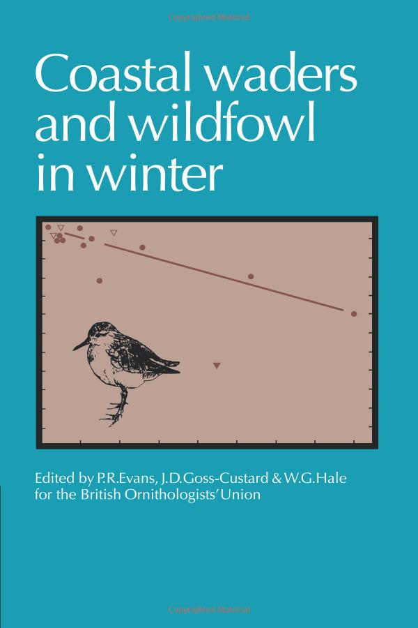 Feathered Comforters for Wilderness