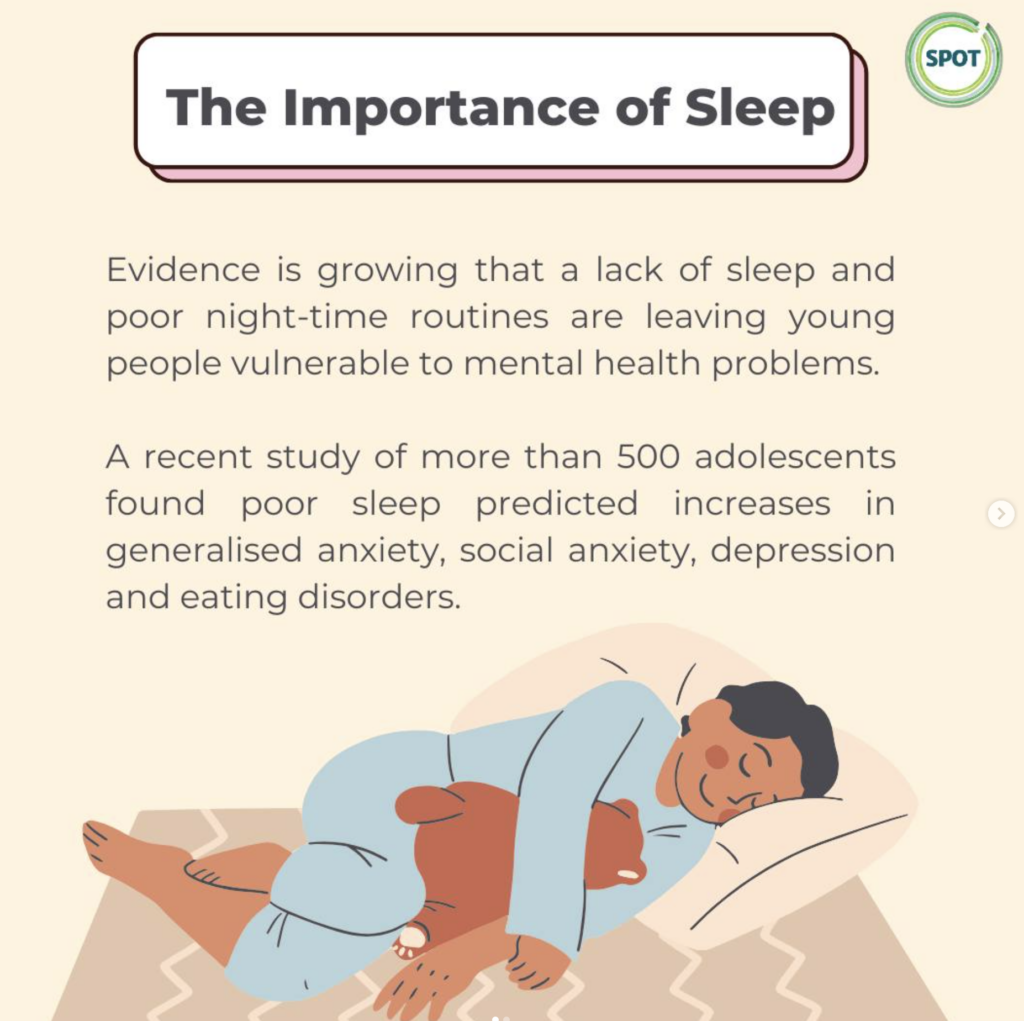 The Great Debate: Wool, Soy, and Down - Understanding the Best Sleeping Comforts