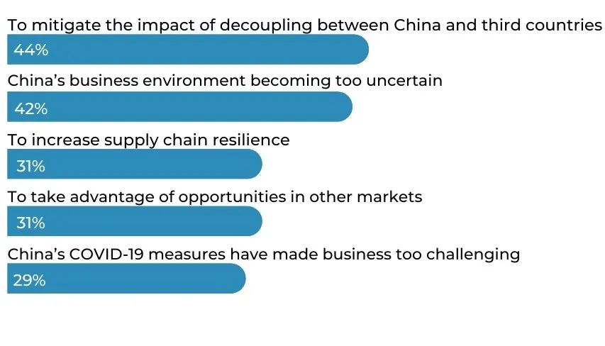 Title: European Consumer Complaints Highlight Importance of Quality Control in Chinese Exported Down Comforters