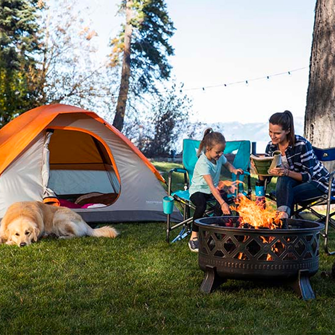 The Ultimate Guide to Purchasing a Camping Down Comforter