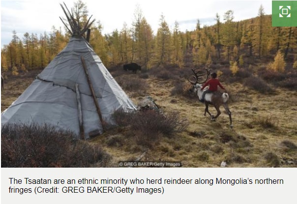 Embarking on a Winter Adventure: A Journey to Mongolia to Purchase the Coziest Down Quilt