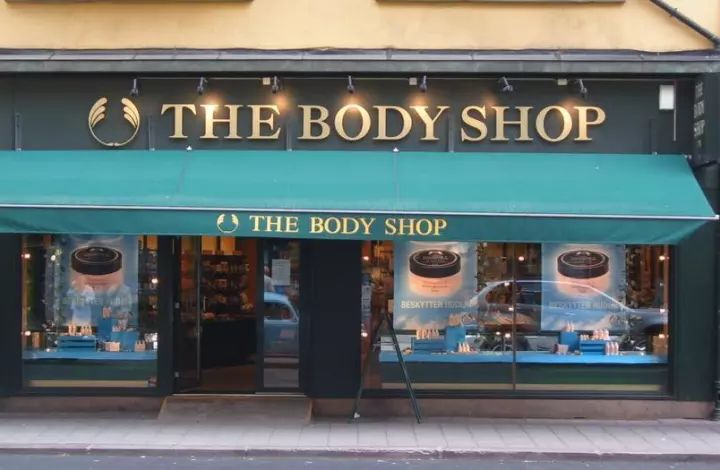 The Goose Down Comforter Shopkeeper