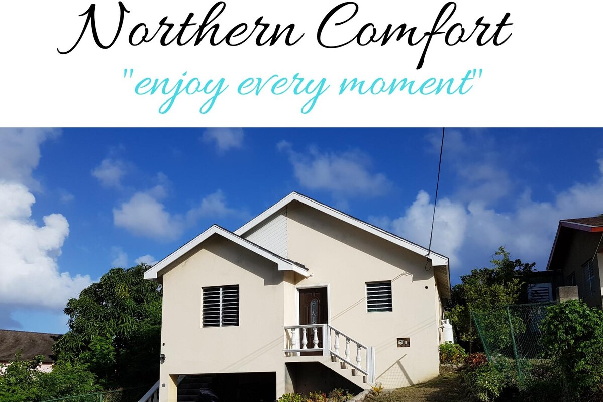 Native Down Comforter: A Premier Choice for Your Bed
