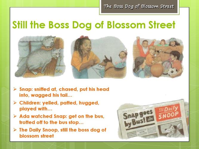 The story of a dog biting a down blanket