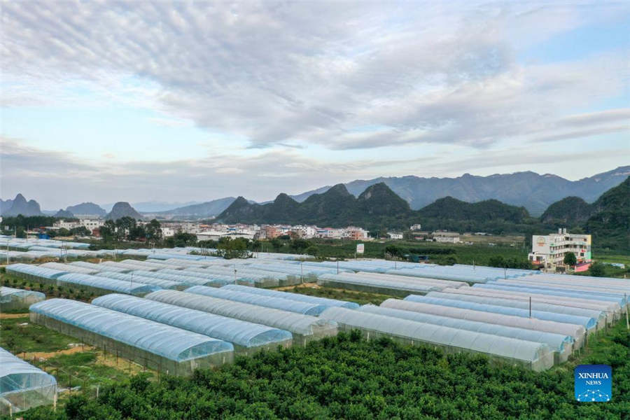 Title: Exploring the Production of Down Quilts in Zhangxian County