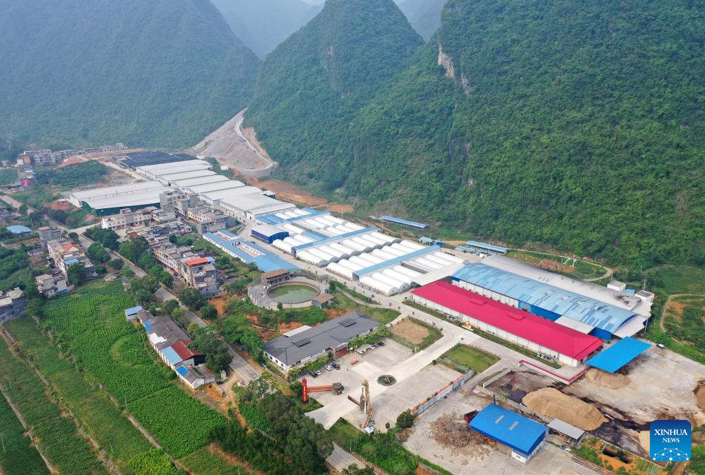 Title: Exploring the Production of Down Quilts in Zhangxian County
