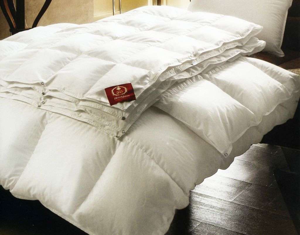 Hanzhong Down Comforter: A Winter Warmth for Your Bed