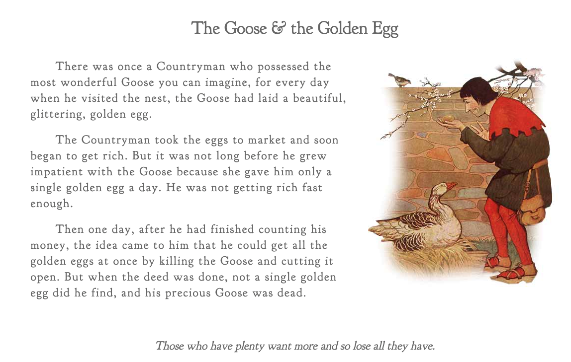 The Goose Down Comforter from Gushi