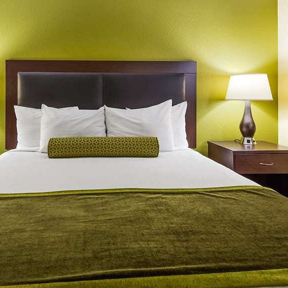 Title: Purchase Information for Suqian Hotel Down Comforters