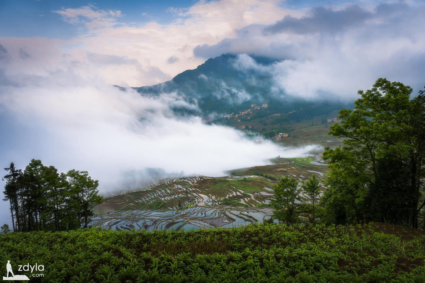 Title: The Art of Down Comfort: Yinxiang Down Quilt Processing Store in Yuanyang County