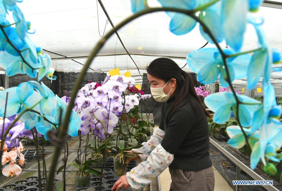 Title: Jiangsu Professional Down Comforter Manufacturing Plant: Crafting the Perfect Comfort for You