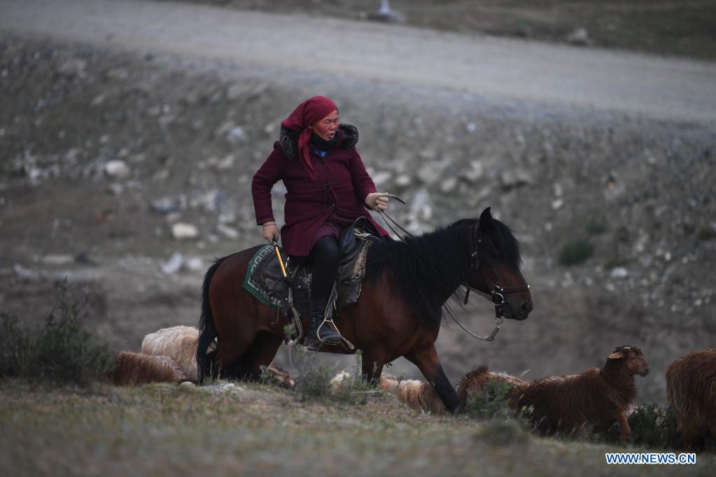 Feather Duvet in Shaanxi Province