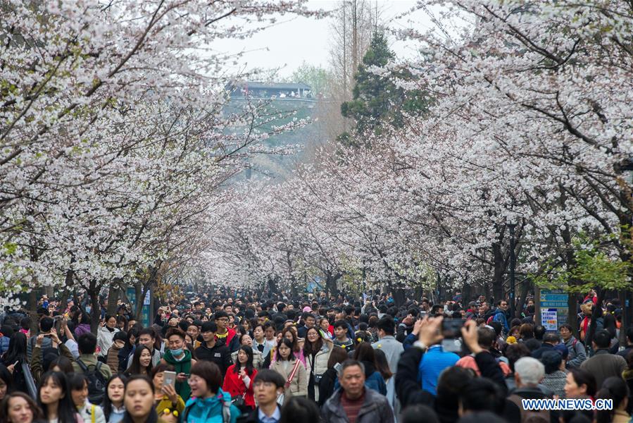Title: Where to Find Nanjing-Based Down Blanket Processing Services?